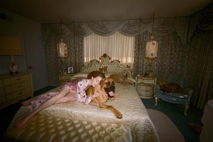 Emma Stone: Φωτογραφίζεται από τον Λάνθιμο σαν τη γυναίκα που ζει με τα 15 σκυλιά της