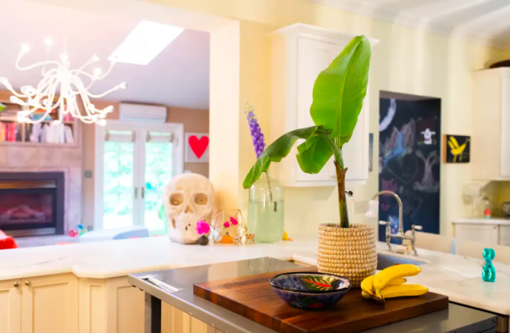 Αυτό το υπέροχο χρωματιστό σπίτι στον Καναδά το θες ή έστω κομμάτια του Αυτό το υπέροχο χρωματιστό σπίτι στον Καναδά το θες ή έστω κομμάτια του