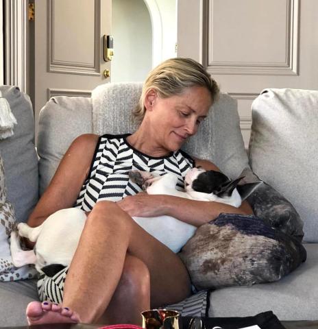 H 61 ετών Sharon Stone απενοχοποιεί τις ρυτίδες και την κυτταρίτιδα με τον πιο sexy τρόπο H 61 ετών Sharon Stone απενοχοποιεί τις ρυτίδες και την κυτταρίτιδα με τον πιο sexy τρόπο