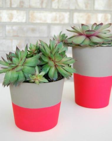 DIY: Δες πώς μπορείς να ανανεώσεις όλα τα γλαστράκια στο σπίτι σου με λίγη μπογιά DIY: Δες πώς μπορείς να ανανεώσεις όλα τα γλαστράκια στο σπίτι σου με λίγη μπογιά