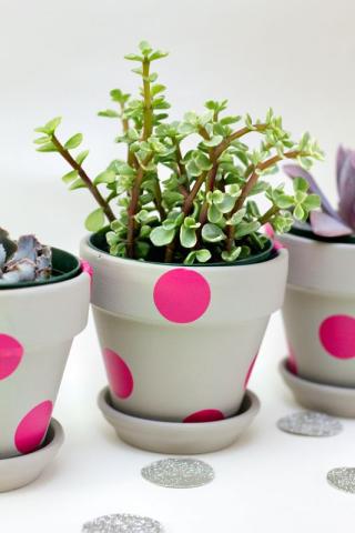 DIY: Δες πώς μπορείς να ανανεώσεις όλα τα γλαστράκια στο σπίτι σου με λίγη μπογιά DIY: Δες πώς μπορείς να ανανεώσεις όλα τα γλαστράκια στο σπίτι σου με λίγη μπογιά
