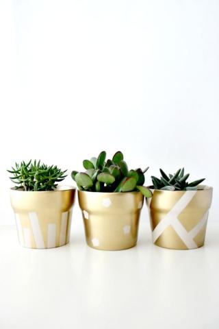 DIY: Δες πώς μπορείς να ανανεώσεις όλα τα γλαστράκια στο σπίτι σου με λίγη μπογιά DIY: Δες πώς μπορείς να ανανεώσεις όλα τα γλαστράκια στο σπίτι σου με λίγη μπογιά
