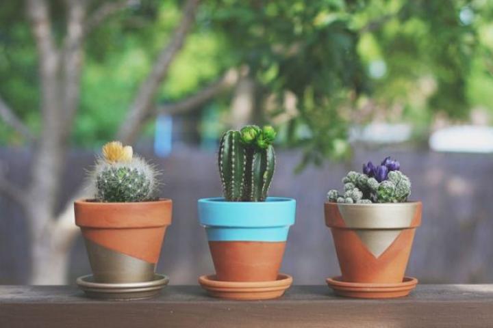 DIY: Δες πώς μπορείς να ανανεώσεις όλα τα γλαστράκια στο σπίτι σου με λίγη μπογιά DIY: Δες πώς μπορείς να ανανεώσεις όλα τα γλαστράκια στο σπίτι σου με λίγη μπογιά