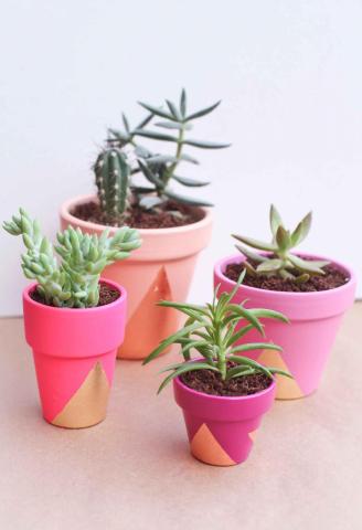 DIY: Δες πώς μπορείς να ανανεώσεις όλα τα γλαστράκια στο σπίτι σου με λίγη μπογιά DIY: Δες πώς μπορείς να ανανεώσεις όλα τα γλαστράκια στο σπίτι σου με λίγη μπογιά