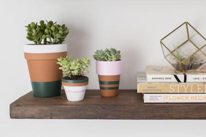 DIY: Δες πώς μπορείς να ανανεώσεις όλα τα γλαστράκια στο σπίτι σου με λίγη μπογιά DIY: Δες πώς μπορείς να ανανεώσεις όλα τα γλαστράκια στο σπίτι σου με λίγη μπογιά
