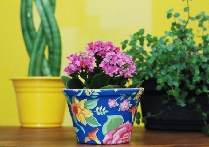 DIY: Δες πώς μπορείς να ανανεώσεις όλα τα γλαστράκια στο σπίτι σου με λίγη μπογιά DIY: Δες πώς μπορείς να ανανεώσεις όλα τα γλαστράκια στο σπίτι σου με λίγη μπογιά