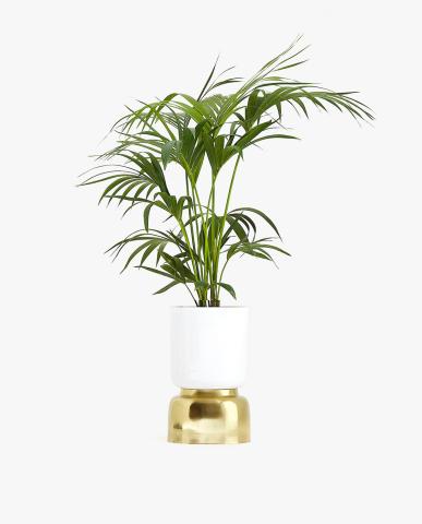 20 διακοσμητικά αντικείμενα από τα Zara Home που θα ανανεώσουν το σπίτι σου με λιγότερο από 35 ευρώ! 20 διακοσμητικά αντικείμενα από τα Zara Home που θα ανανεώσουν το σπίτι σου με λιγότερο από 35 ευρώ!