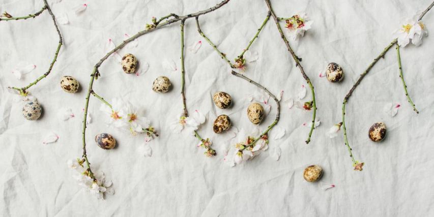 Στρώσε το πιο τέλειο πασχαλινό τραπέζι και κάνε τους καλεσμένους σου να εντυπωσιαστούν!