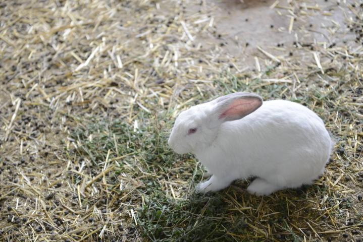 Riverland - Η Ιδανική εξόρμηση για μικρούς και μεγάλους Riverland - Η Ιδανική εξόρμηση για μικρούς και μεγάλους