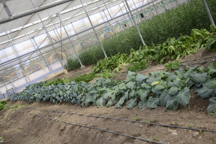 Riverland - Η Ιδανική εξόρμηση για μικρούς και μεγάλους Riverland - Η Ιδανική εξόρμηση για μικρούς και μεγάλους