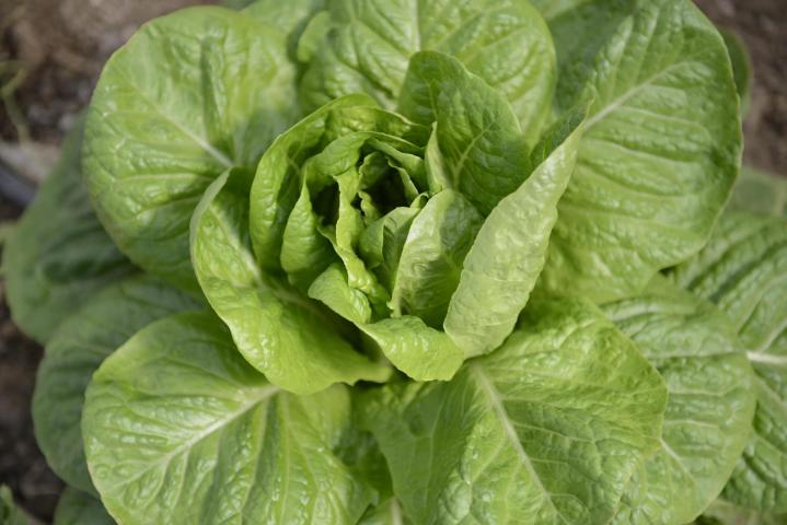 Riverland - Η Ιδανική εξόρμηση για μικρούς και μεγάλους Riverland - Η Ιδανική εξόρμηση για μικρούς και μεγάλους